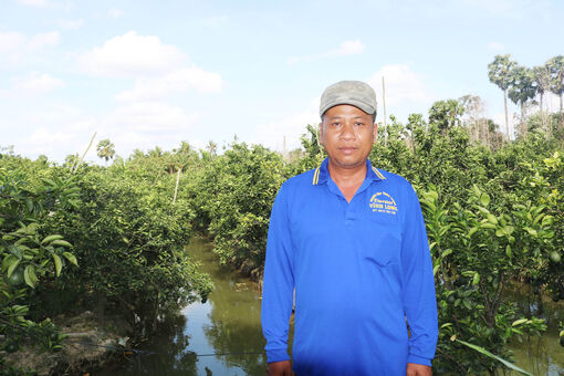 ដាំ​ក្រូច​ពោធិ៍​សាត់​ ទទួល​បាន​ផល​ច្រើន​និង​តម្លៃ​ល្អ​