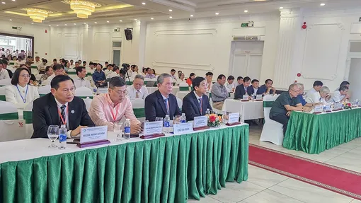 Gần 300 thầy thuốc cập nhật chẩn đoán và điều trị phẫu thuật tai mũi họng