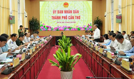 Chủ động triển khai hiệu quả, minh bạch công tác chống khai thác IUU