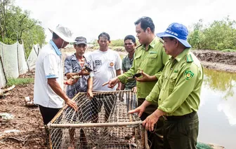 Bảo vệ rừng là giữ gìn sinh kế