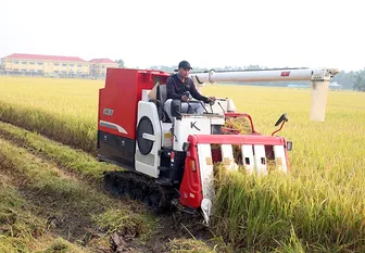 Canh tác lúa thông minh, giảm chi phí, tăng hiệu quả