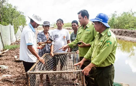 Bảo vệ rừng là giữ gìn sinh kế
