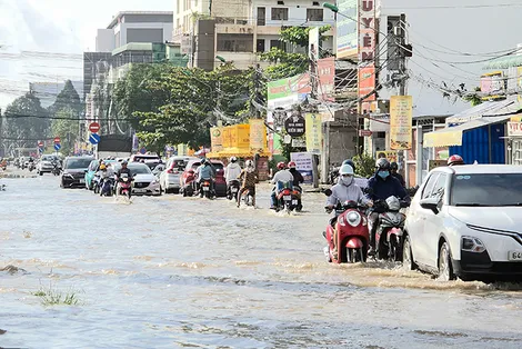 Triều cường đầu tháng 8 âm lịch bắt đầu xuống dần