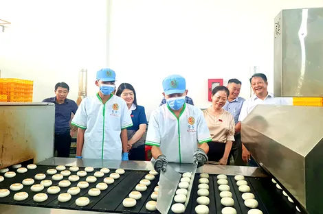 Quan tâm hỗ trợ hồ sơ, thủ tục cho các hộ kinh doanh cá thể, doanh nghiệp
