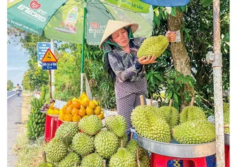 Bước ngoặt chiến lược cho chuỗi giá trị nông sản