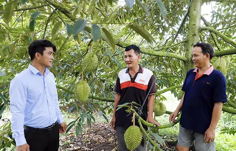 Kết nối việc làm, hỗ trợ sinh kế