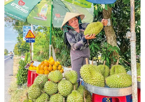 Bước ngoặt chiến lược cho chuỗi giá trị nông sản