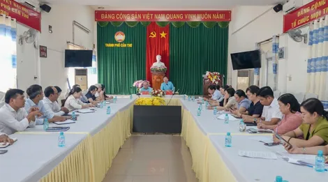 Phân công nhiệm vụ tạm thời công tác tham mưu, giúp việc cho Đảng ủy Mặt trận Tổ quốc, các đoàn thể thành phố