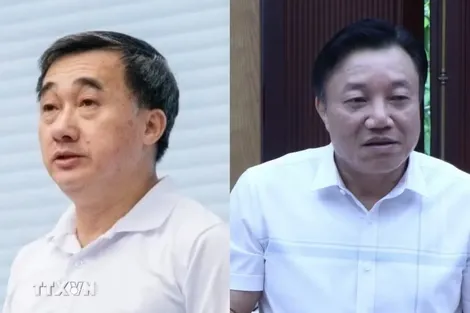 Khai trừ khỏi Đảng đối với ông Trần Văn Thuấn, Nguyễn Huy Ngọc