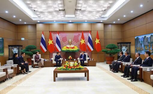 Vietnam, Thailand have ample room to complement and develop together: PM