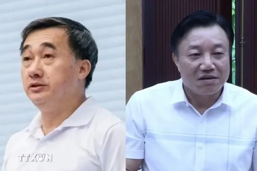 Khai trừ khỏi Đảng đối với ông Trần Văn Thuấn, Nguyễn Huy Ngọc
