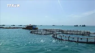 Ưu tiên nâng tầm cho dự báo biển