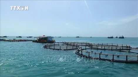 Ưu tiên nâng tầm cho dự báo biển