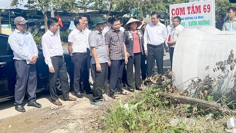 Thường trực HĐND thành phố khảo sát tiến độ dự án phát triển đô thị xanh và hoạt động cụm khu công nghiệp tại phường Ngã Bảy