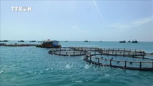 Ưu tiên nâng tầm cho dự báo biển