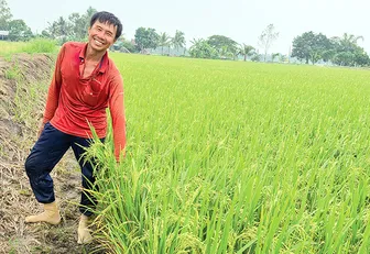 Nông dân kỳ vọng vụ lúa thu đông thắng lợi