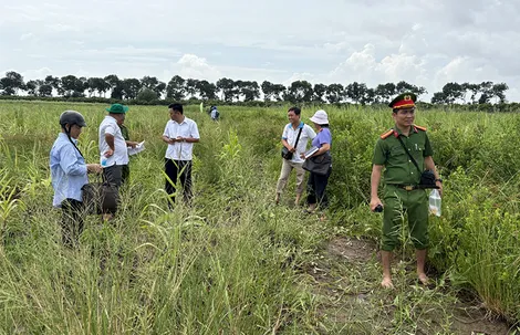 Khám nghiệm hiện trường liên quan đến việc chiếm đất công tại Nông trường 30-4 (cũ) tại xã Cù Lao Dung