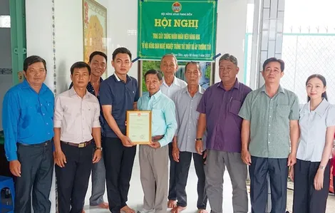 Trao giấy chứng nhận nhãn hiệu cho Tổ hợp tác trồng mít ruột đỏ