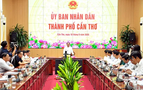 Tập trung chuẩn bị Festival Quốc tế Ngành hàng Lúa gạo Việt Nam lần thứ II - Cần Thơ năm 2026