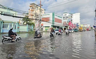 Chủ động ứng phó mưa, bão và triều cường