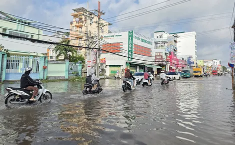 Chủ động ứng phó mưa, bão và triều cường
