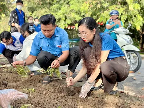 Tuổi trẻ Cần Thơ đồng loạt ra quân hưởng ứng “Ngày Chủ nhật xanh” toàn quốc