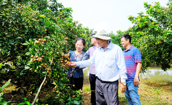 រួម​ដំ​ណើរ​និង​ជំនួយ​ជាក់​ស្ដែង​ដើម្បី​អភិវឌ្ឍ​ផលិត​ផល OCOP ឃុំ​ដុង​ហ៊ីប​