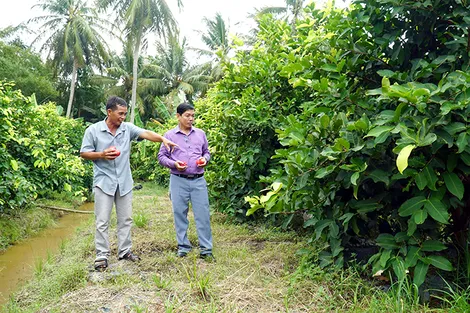 Quyết tâm đưa Đại Ngãi bứt phá phát triển