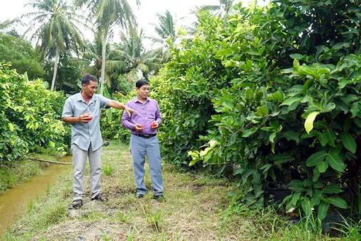 Quyết tâm đưa Đại Ngãi bứt phá phát triển