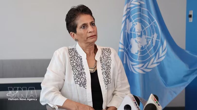 Vietnam can offer valuable lessons to support more effective multilateralism: UN official