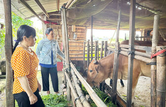 ចំណុចលេចធ្លោនៃទម្រង់ “ក្រុមនារី​គ្រួសារសុភមង្គល ចិញ្ចឹមកូនមានសុខភាពល្អ អប់រំកូនលុះក្នុងដំបូន្មាន”