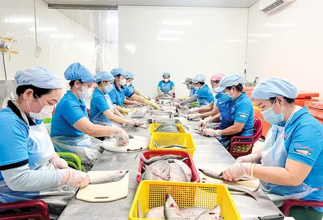 Triển khai 5 nhóm giải pháp tạo đòn bẩy phát triển kinh tế tập thể 