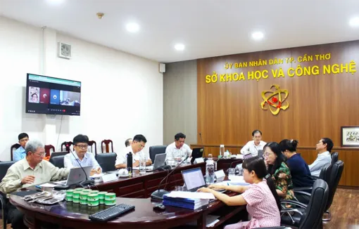 Ứng dụng công nghệ tiên tiến trong sản xuất giống và xây dựng chuỗi giá trị lươn đồng thương phẩm
