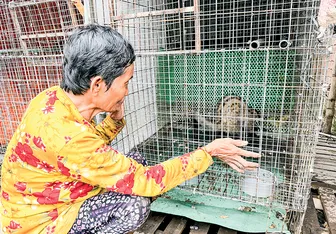 TP Cần Thơ có 1.779 cơ sở gây nuôi động vật hoang dã