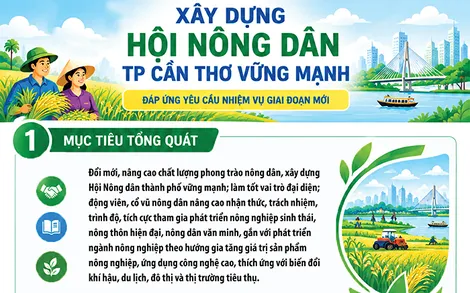 [Infographics] Xây dựng Hội Nông dân TP Cần Thơ vững mạnh, đáp ứng yêu cầu nhiệm vụ trong giai đoạn mới
