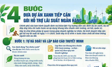 [INFOGRAPHICS] 4 bước đưa dự án xanh tiếp cận gói hỗ trợ lãi suất ngân hàng