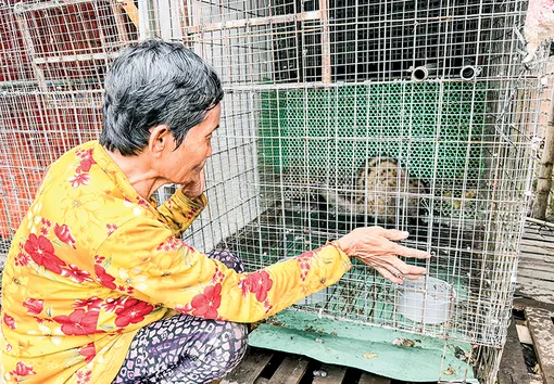TP Cần Thơ có 1.779 cơ sở gây nuôi động vật hoang dã
