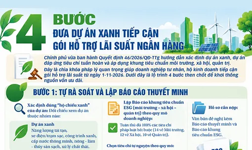 [INFOGRAPHICS] 4 bước đưa dự án xanh tiếp cận gói hỗ trợ lãi suất ngân hàng