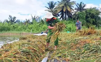 Nhận diện và phòng ngừa âm mưu lợi dụng “quyền dân tộc tự quyết”