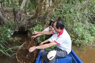 Độc đáo trải nghiệm du lịch mùa nước nổi