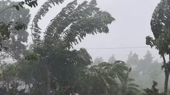 Tây Ninh cảnh giác mưa lớn, lũ sông Cửu Long lên báo động I