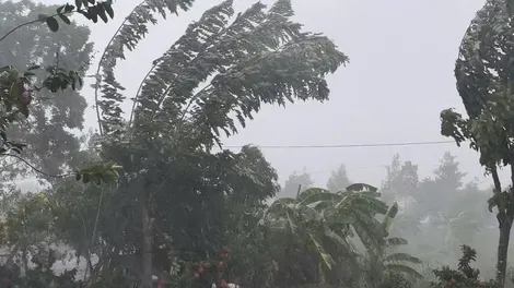 Tây Ninh cảnh giác mưa lớn, lũ sông Cửu Long lên báo động I