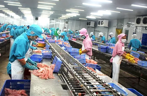 Cập nhật chính sách, quy định của Liên minh châu Âu về nhập khẩu thực phẩm, nông sản