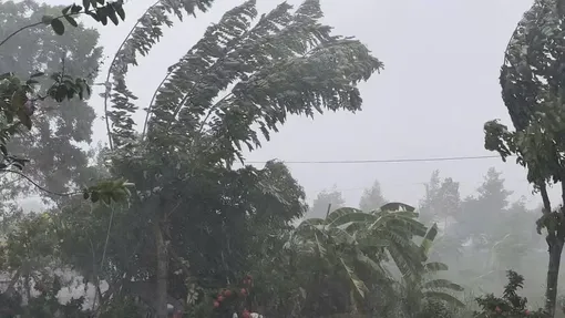 Tây Ninh cảnh giác mưa lớn, lũ sông Cửu Long lên báo động I