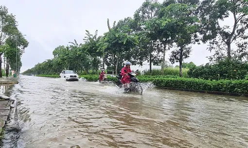 Triều cường lên sớm, khả năng gây ngập sâu nhiều khu vực
