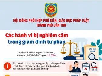 [INFOGRAPHICS] Các hành vi bị nghiêm cấm trong giám định tư pháp