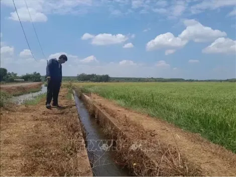 Chủ động ứng phó nguy cơ thiếu nước do ảnh hưởng của El Nino