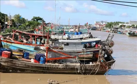Quản lý đội tàu, kiểm soát chặt hoạt động khai thác thủy sản