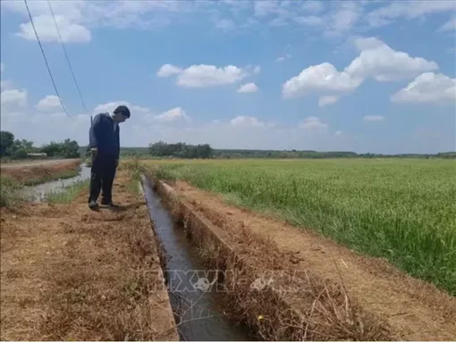 Chủ động ứng phó nguy cơ thiếu nước do ảnh hưởng của El Nino