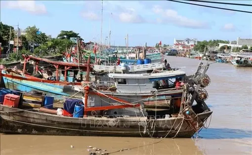 Quản lý đội tàu, kiểm soát chặt hoạt động khai thác thủy sản
